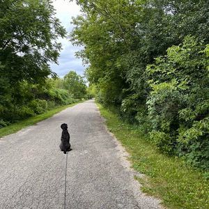 Meet your Posher, Cari